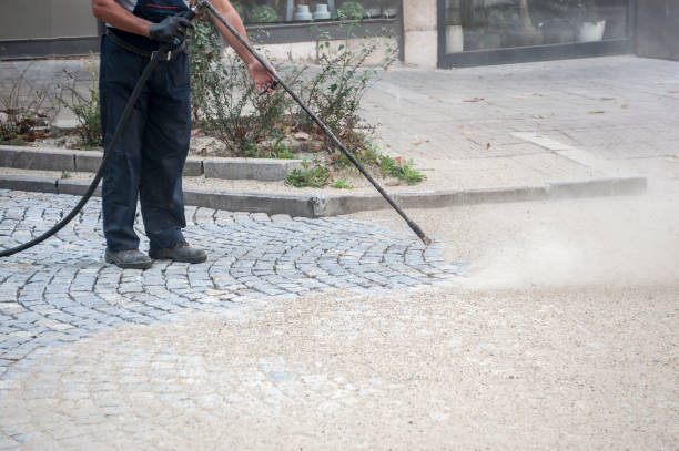 Best Sidewalk and Walkway Cleaning  in Lambertville, MI