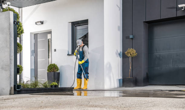 Best Driveway Pressure Washing  in Lambertville, MI